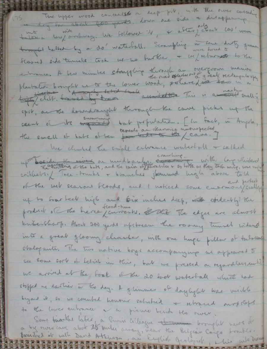 Page 175.jpg